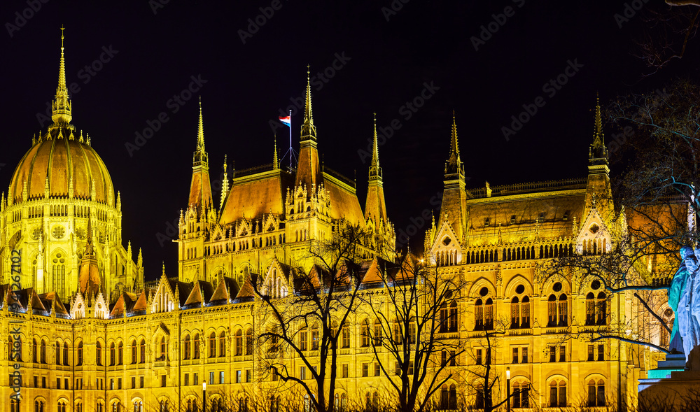 Fototapeta premium Brightly illuminated Parliament building, Budapest, Hungary