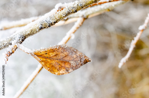 Winter nature of the Urals