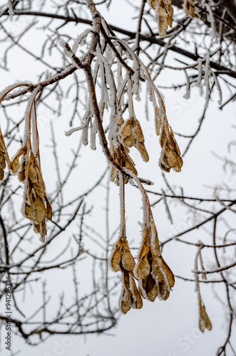 Winter nature of the Urals