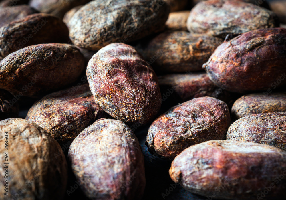 Cocoa beans background, Close-up of cocoa bean, dried cocoa beans Cocoa beans background, Close-up of cocoa bean, dried cocoa beans