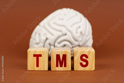Foto Exploring the potential of transcranial magnetic stimulation with a model brain