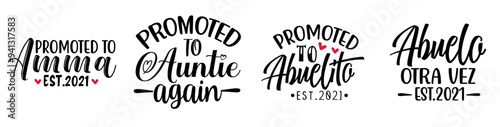 Cute Pregnancy Calligraphic Lettering, Hand Lettering Set Vector Illustration for Flyer, Label, Holiday Cards
