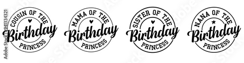 Creative Birthday Princess Inscriptions, Typographic Emblems Pack Vector Illustration for Magazine, Newsletter, Flyer