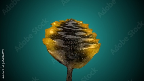 laminaria tree  leaf anatomy. 3d illustration