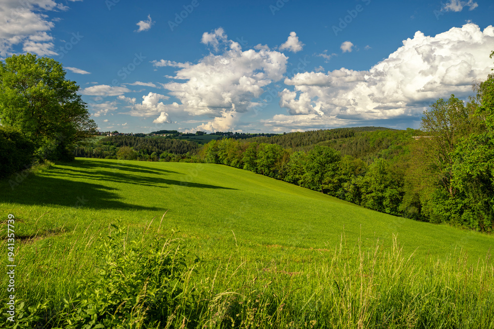 Green meadow landscape in the sunny spring Green meadow landscape in the sunny spring
