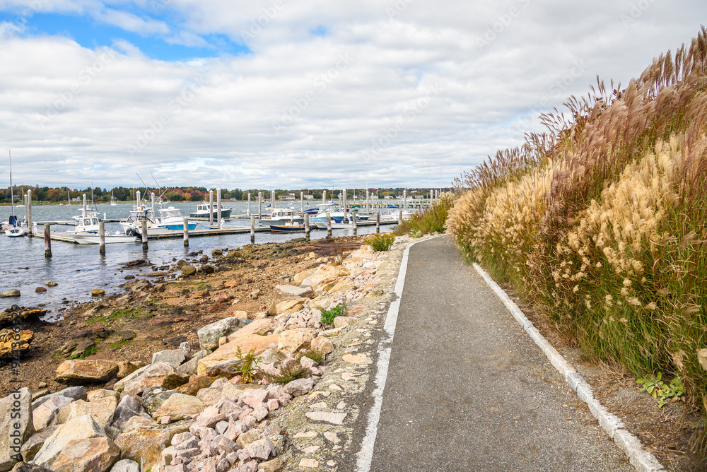 Fototapeta premium Deserted footpath alongside a natural harbour on a cloudy autumn day. Boats moored to jetties are in background.