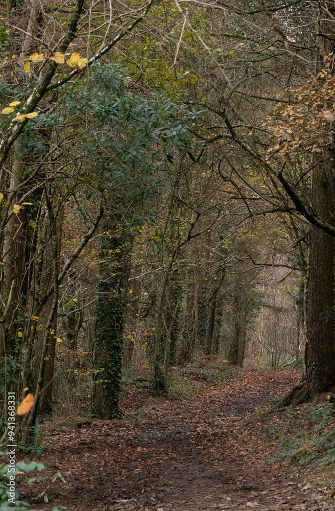 Obraz premium Autumn comes to North Devon, UK.