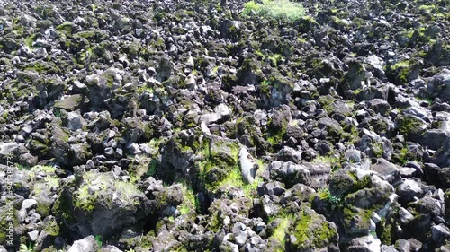 El Ceboruco Nayarit se encuentra al sur y es parte del eje neovolcánico mexicano. Cuenta con una lava extrañamente negra que cubre una carretera por ambos lados. es la erupción de un volcán.  photo