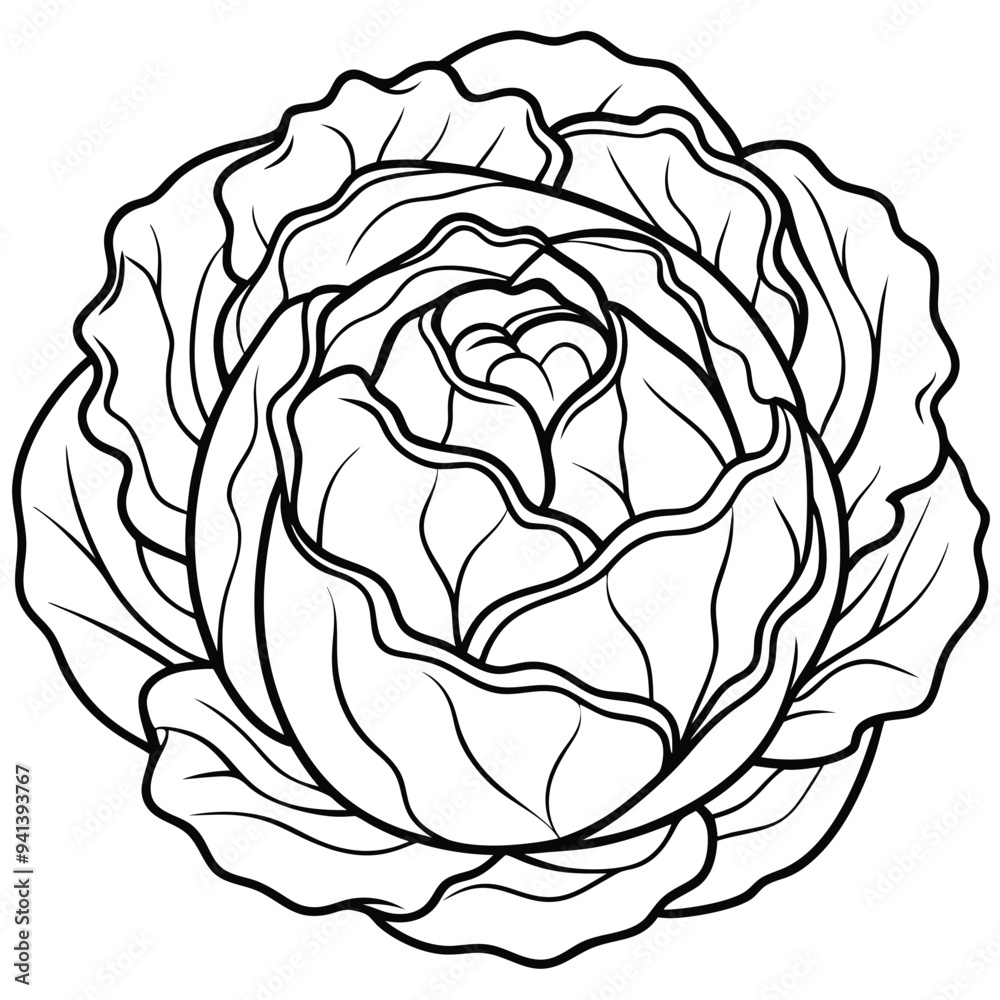 Obraz premium Cabbage Cartoon-Style Vector Illustration in Line Art on White Background – Simple, Clean Design in PNG Format for Healthy Food Icons, Digital Graphics, and Vegetable Illustrations