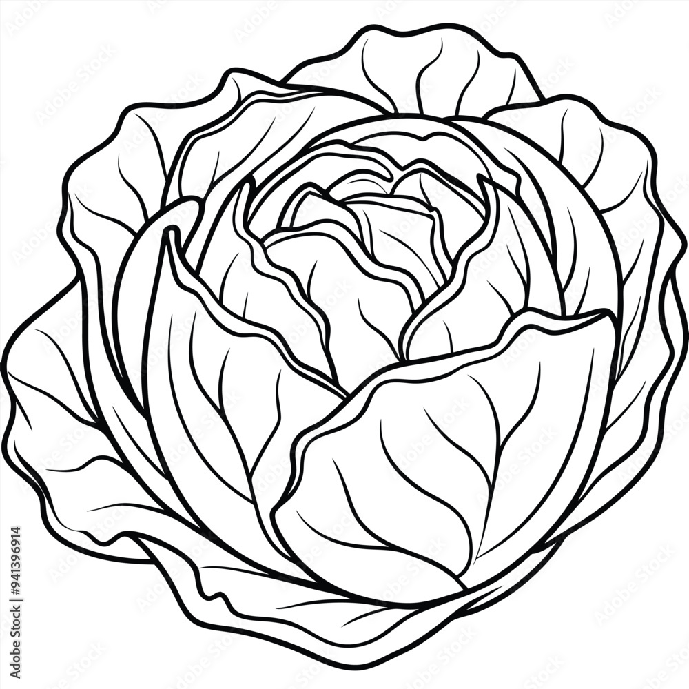 Cabbage Cartoon-Style Vector Illustration in Line Art on White Background – Simple, Clean Design in PNG Format for Healthy Food Icons, Digital Graphics, and Vegetable Illustrations Cabbage Cartoon-Style Vector Illustration in Line Art on White Background – Simple, Clean Design in PNG Format for Healthy Food Icons, Digital Graphics, and Vegetable Illustrations