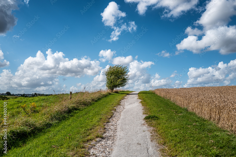 Obraz premium Fields around the city of Hedensted in Jutland in Denmark