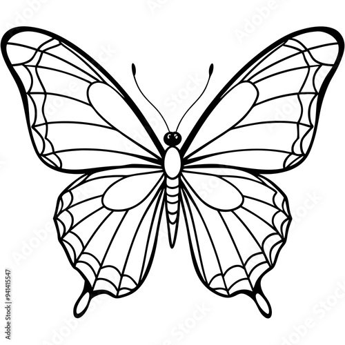 butterfly vector illustration