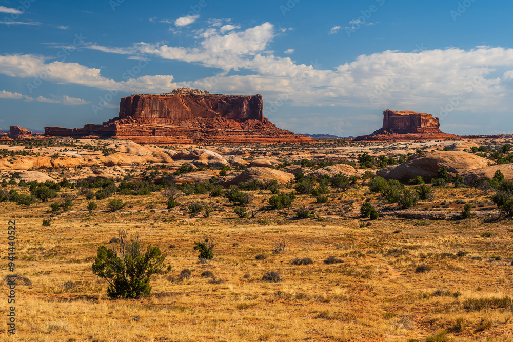 The desert area of red cliffs of the Island in the Sky District of Canyonlands national park in Utah USA.