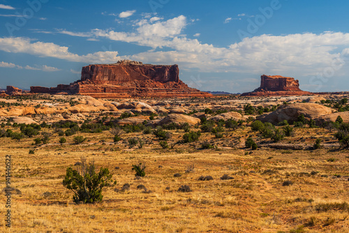 Obraz na płótnie The desert area of red cliffs of the Island in the Sky District of Canyonlands national park in Utah USA. w salonie