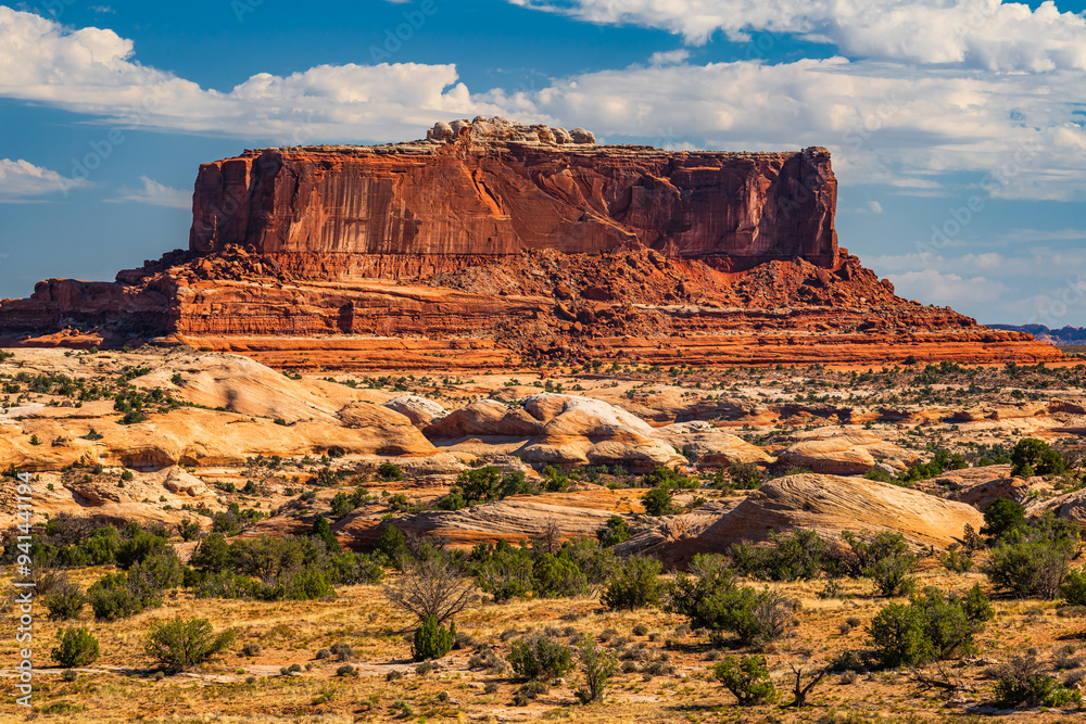 The desert area of red cliffs of the Island in the Sky District of Canyonlands national park in Utah USA.