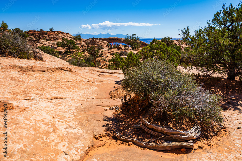 A trail leading towards the Mesa Arch area of the Island in the Sky District of Canyonlands national park in Utah USA.