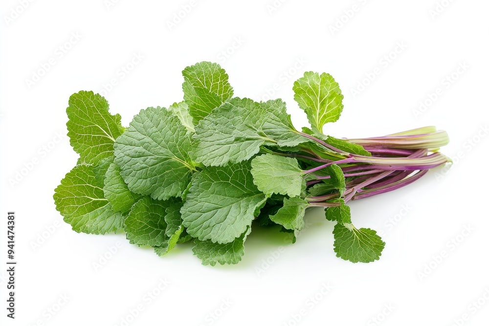 A bunch of fresh green leafy vegetables with purple stems. A bunch of fresh green leafy vegetables with purple stems.