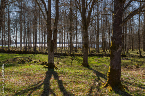 Old pasture by a lake photo