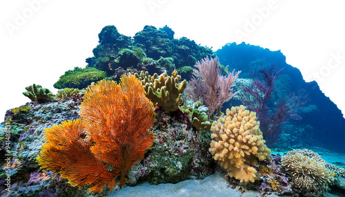 Fototapeta Naklejka Na Ścianę i Meble -  tropical coral reef rocks vibrant tropical coral reef rocks isolated white background