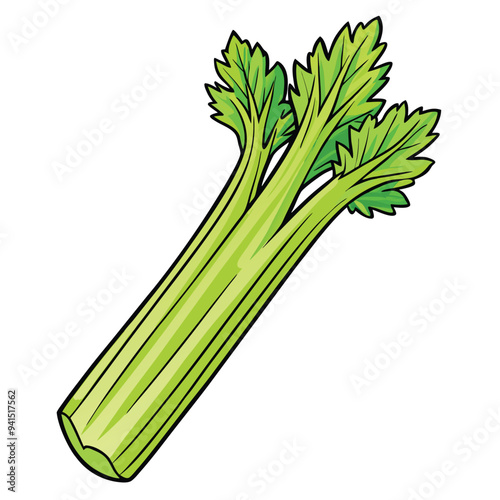 Celery Cartoon style vector illustration on white background line art png