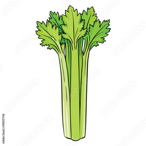 Celery Cartoon style vector illustration on white background line art png