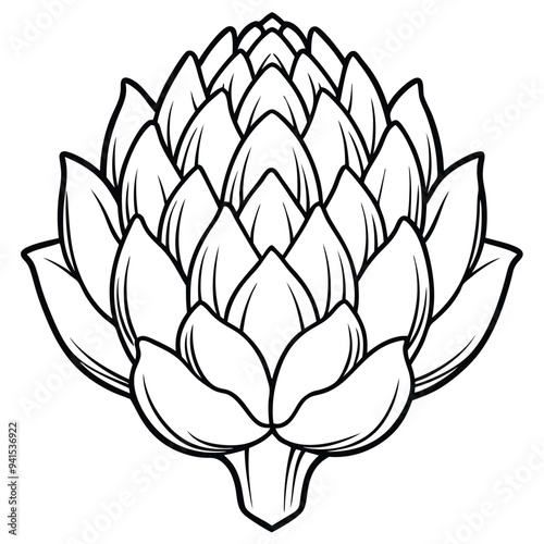 Artichoke Cartoon style vector illustration on white background line art png