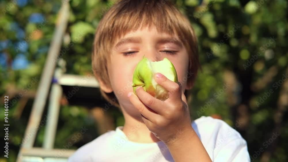 Cute child boy portrait, he is staying in apple tree garden outdoors eating green juicy apple. Biting the fruit. Cute child boy portrait, he is staying in apple tree garden outdoors eating green juicy apple. Biting the fruit.