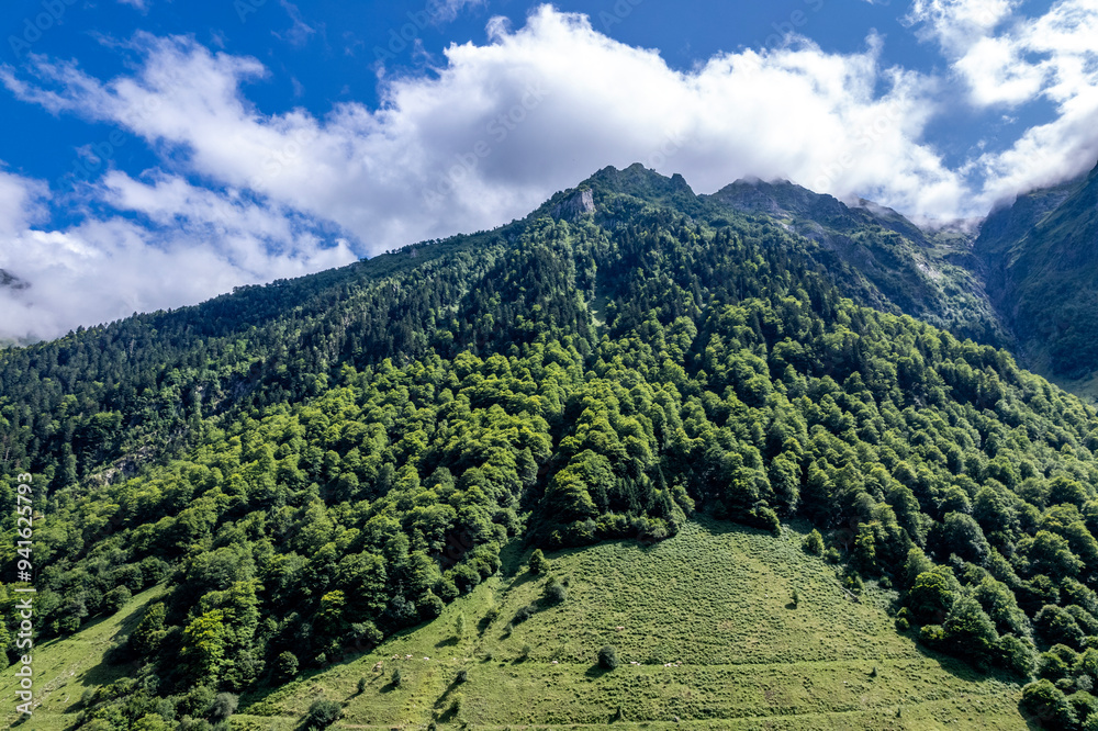 Fototapeta premium Verdant Mountain Slope Under a Clear Blue Sky