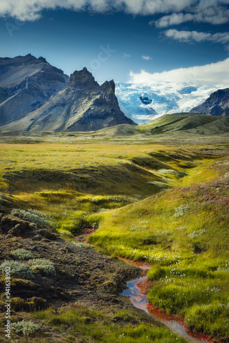 A green field in Iceland, with a mountain and a glacier in the distance, and sheep