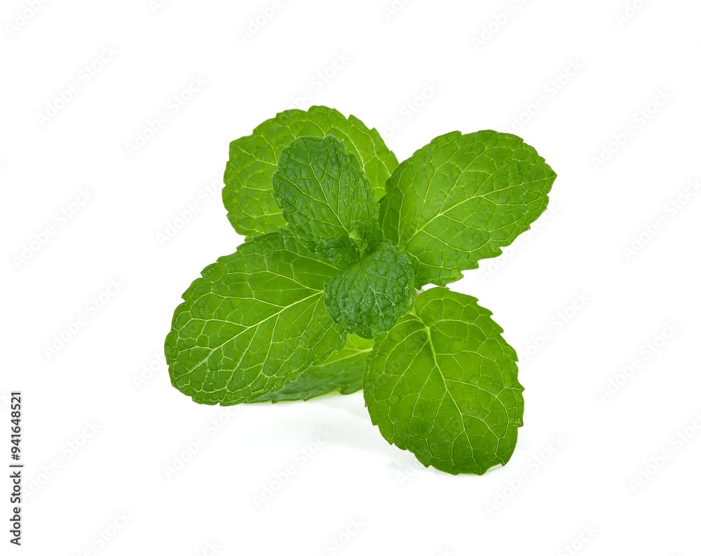 green mint leaf isolated on white background green mint leaf isolated on white background