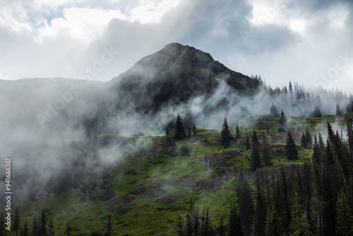 Misty mountain in the early summer morning