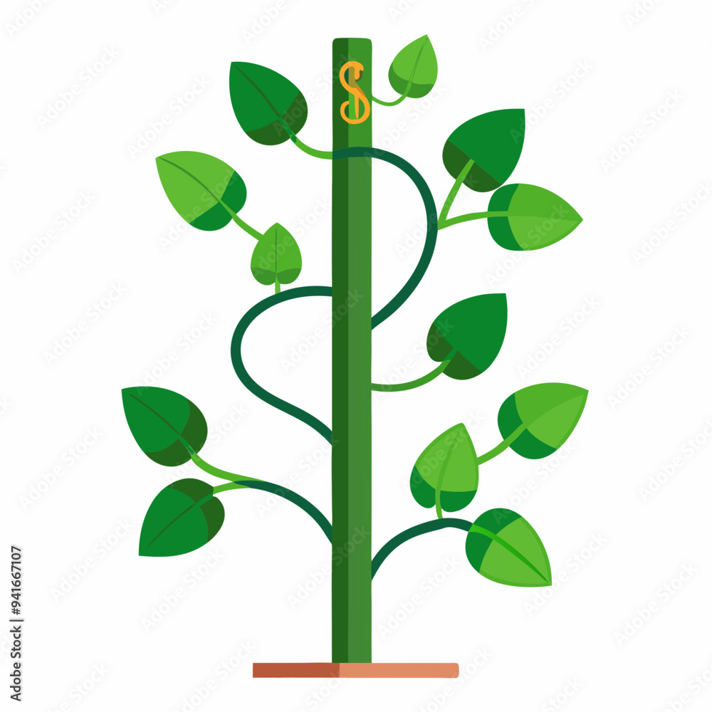 Obraz premium Money plant climber plant stems wrapping