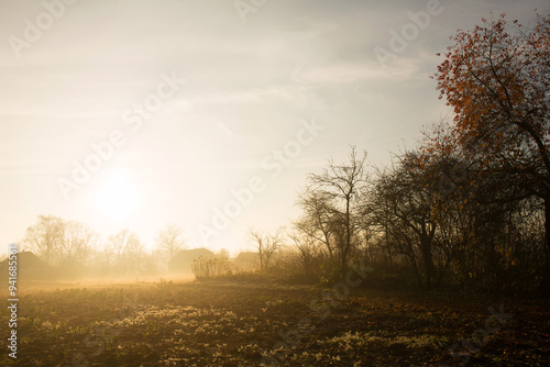 Fog on a sunny morning over the village