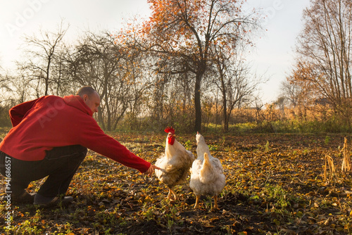 On a cold, sunny autumn morning, a farmer talks to chickens that roam free in the garden