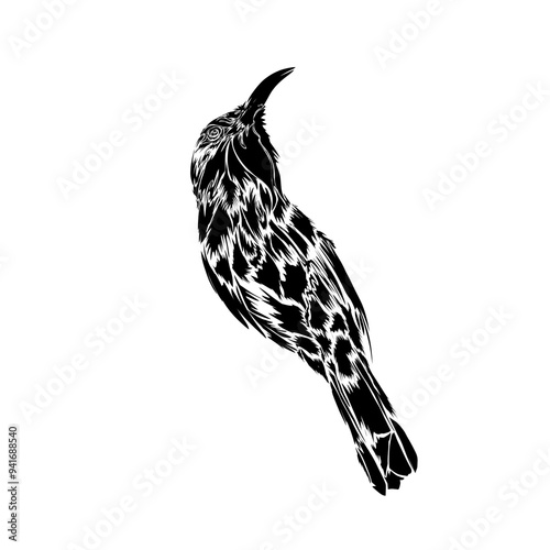 Wallpaper Mural silhouette vector black shadow shaped hummingbird on white background Torontodigital.ca