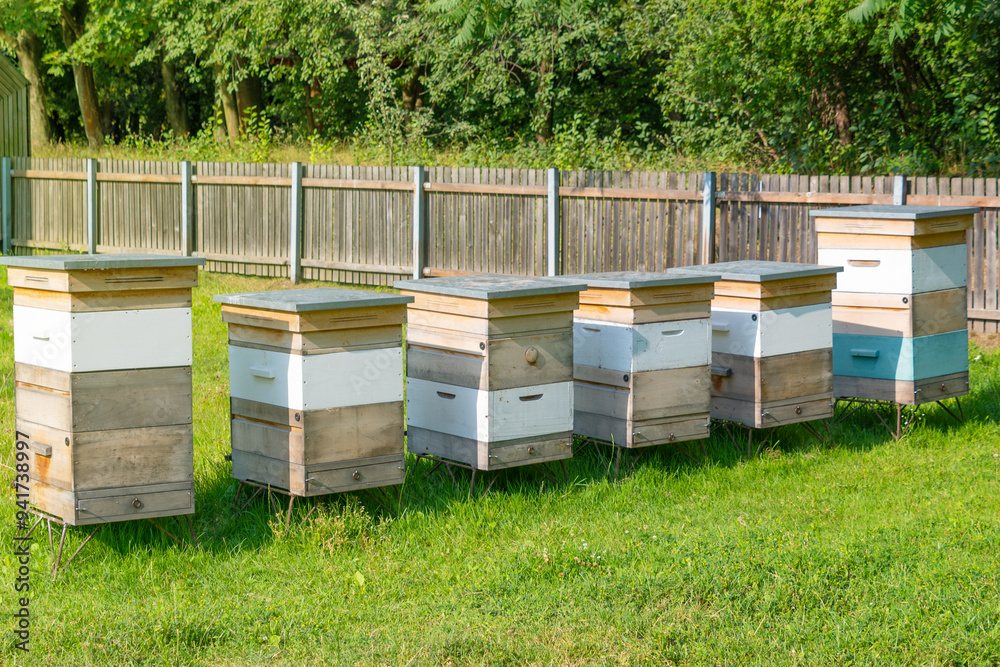 Several wooden beehives in the garden. Several wooden beehives in the garden.