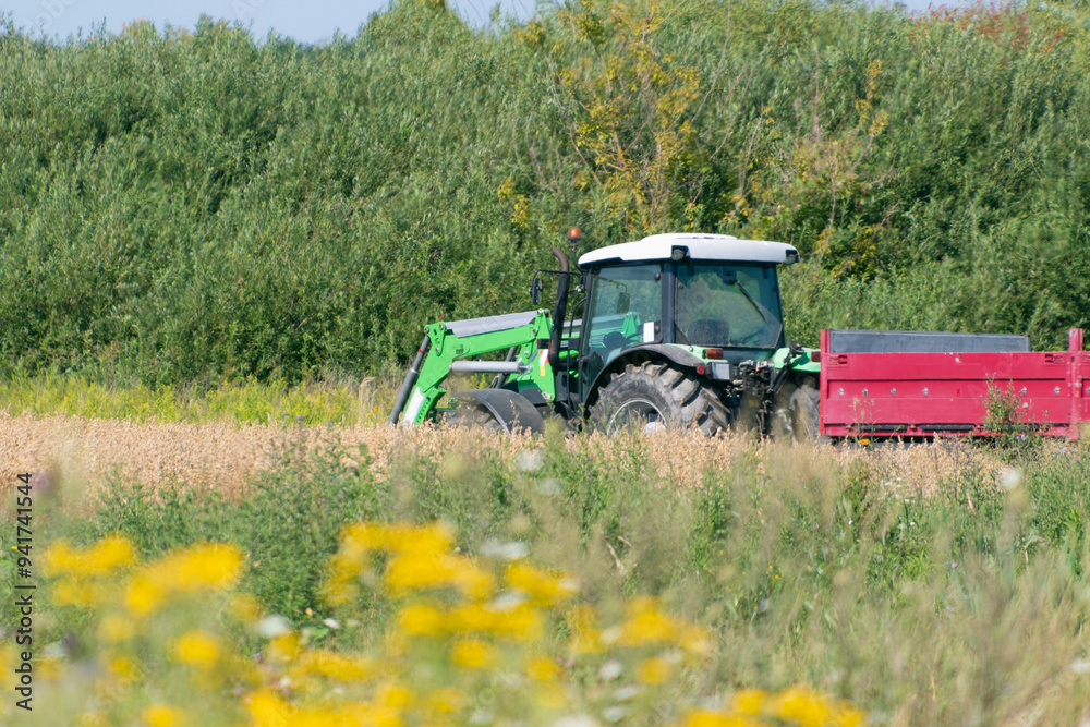 Fototapeta premium Tractor in the field for harvesting.