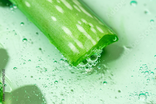 Fresh aloe vera slice with water droplets close-up