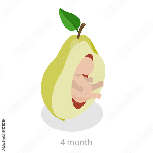3D Isometric Flat Vector Illustration of Embryo Monthly Growth Stages, Human Fetus Development. Item 1