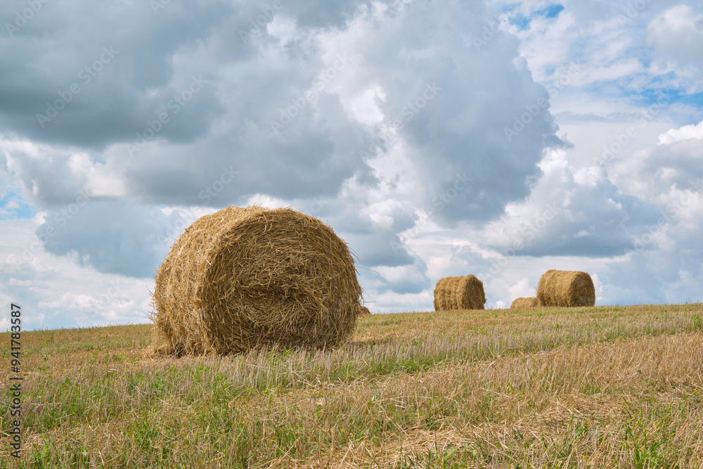 Golden hay bales in harvested straw field. Hay bales in field. Straw bales outdoors. Selective focus. Golden hay bales in harvested straw field. Hay bales in field. Straw bales outdoors. Selective focus.