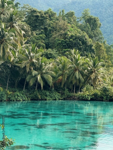 Turquoise blue ocean water with tropical palm trees in the background. Sulawesi, Banggai Island, Indonesia, Asia.