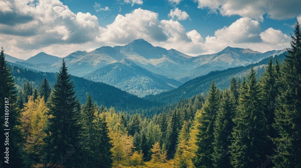 The beautiful peaks of the Carpathian Mountains in Romania, with ample space for text in the surrounding forests The beautiful peaks of the Carpathian Mountains in Romania, with ample space for text in the surrounding forests
