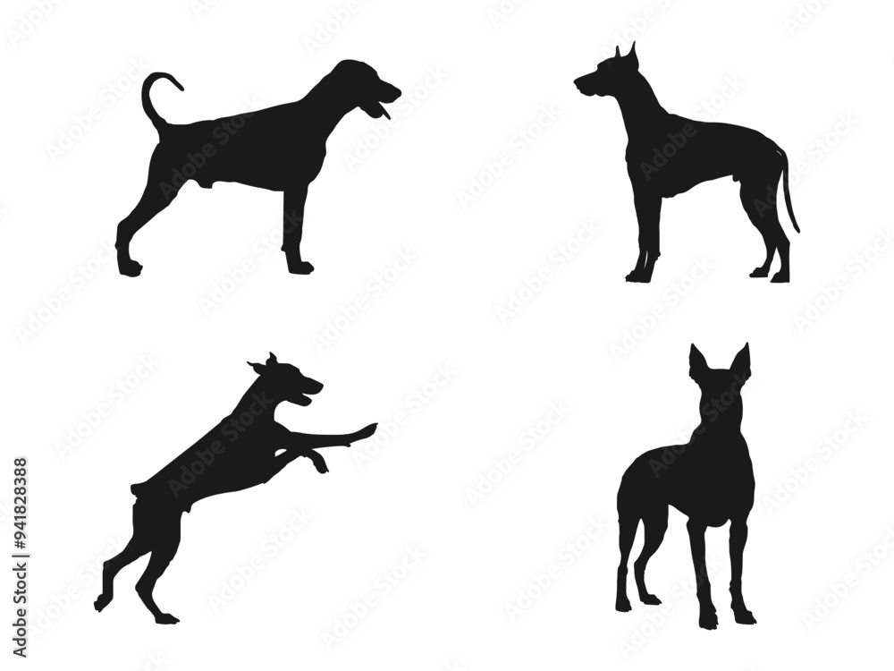 The black silhouette of a Doberman Pinscher. Black icon. Isolated Vector Animal. Doberman Pinscher Dog Silhouette Bundle SVG. Doberman pinscher dog silhouette isolated on white background. The black silhouette of a Doberman Pinscher. Black icon. Isolated Vector Animal. Doberman Pinscher Dog Silhouette Bundle SVG. Doberman pinscher dog silhouette isolated on white background.