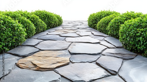 Stone Pathway with Green Bushes.