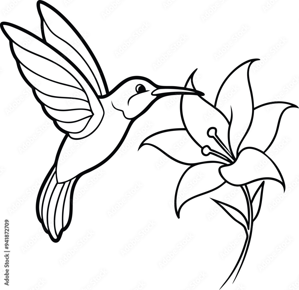 Enchant children with simple hummingbird line drawings designed for coloring fun and imaginative play
Enchant children with simple hummingbird line drawings designed for coloring fun and imaginative play