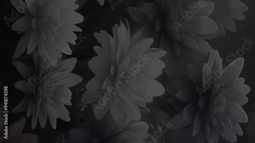 Dark Flower Background. Dark featuring captivating big and delicate flowers in shades of background. dark color big and white flower background image for any kind of graphic, copy space