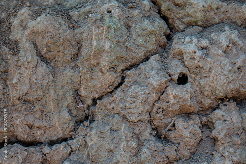 close up of dry, cracked soil