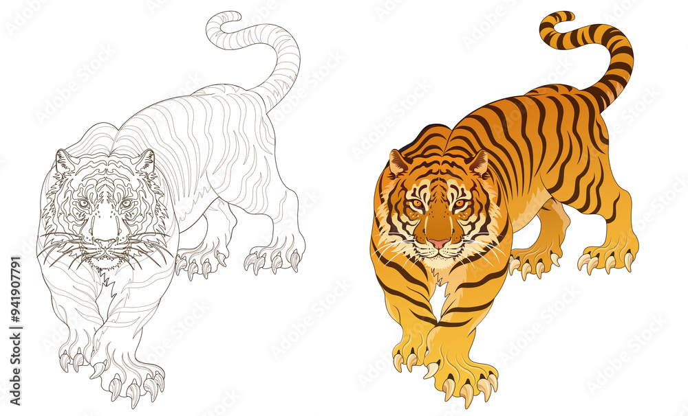 Tiger line artwork, tattoo design, artwork background material, transparent background 건대타투 타투달 호랑이 문신도안
