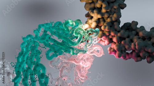 Dupilumab anti-inflammatory drug, illustration