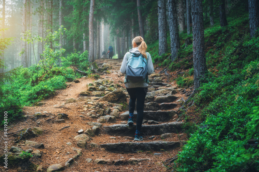 Φωτογραφία Woman in a blue jacket with backpack is walking on a forest trail with stone stairs, trees with lush green foliage in fog in summer